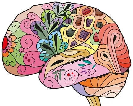 Colorful illustrated brain